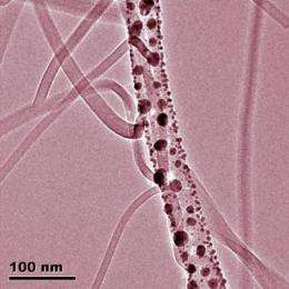 Nanowires for the electronics and optoelectronics of the future