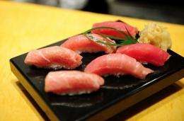 Nearly 80 percent of each year's bluefin catch is shipped to Japan, where it is eaten raw as gourmet sushi and sashimi