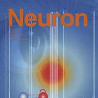 Nano-motors facilitate communication between brain cells
