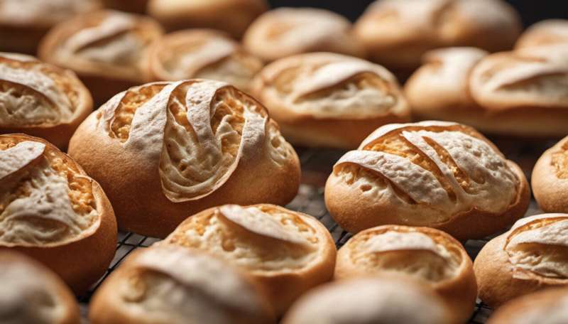New bacteria strain points the way toward 'super sourdough' bread