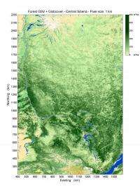 New boreal forest biomass maps produced from radar satellite data