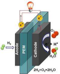 New catalyst of platinum nanoparticles could lead to conk-out free, stable fuel cells