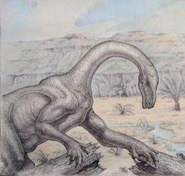 New fossil suggests dinosaurs not so fierce after all