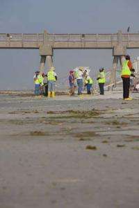 New materials invention for oil spill clean-Up