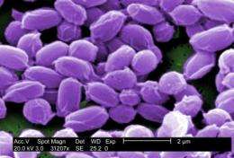 New medical weapons to protect against anthrax attacks