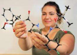 New method of peptide synthesis makes it easier to create drugs based on natural compounds