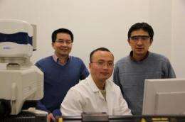 New tool for cell research may help unravel secrets of disease