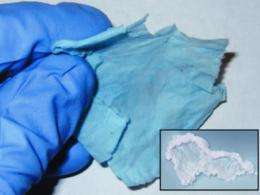 Nitric oxide-releasing wrap for donor organs and cloth for therapeutic socks