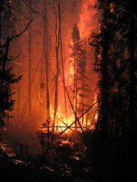 Northern wildfires threaten runaway climate change, study reveals