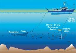 Now in broadband: Acoustic imaging of the ocean