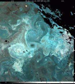 Ocean stirring and plankton patchiness