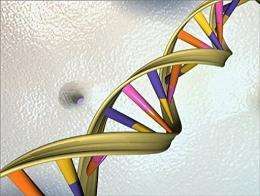 Ofthe-shelf personalized DNA tests are to be available in US pharmacies