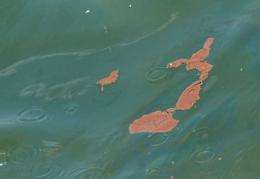 Oil floats in the Gulf of Mexico near Grand Isle, Louisiana