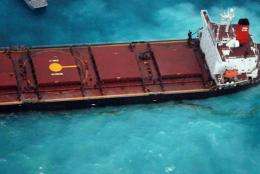 Oil leaks from the Chinese coal carrier the Shen Neng 1 after the vessel ran aground near Australia's Great Barrier Reef