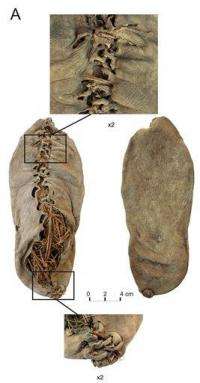 Oldest leather shoe steps out after 5,500 years (AP)