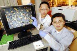 Organic solvent system may improve catalyst recycling and create new nanomedicine uses