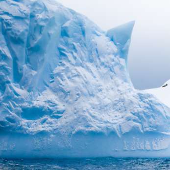 Past Antarctic cooling may help studies of global warming
