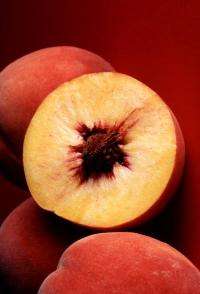 Peaches, plums induce deliciously promising death of breast cancer cells