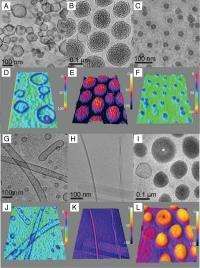 Penn-led collaboration mimics library of bio-membranes for use in nanomedicine, drug delivery