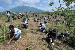 Philippine environmentalists have set a world record for the most trees planted simultaneously