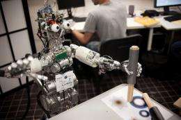 Picture of the iCub robot