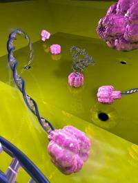 Fitting a biological nanopore into a man-made one, new ways to analyze DNA