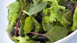 'Prewashed' Salad Still Needs Cleaning