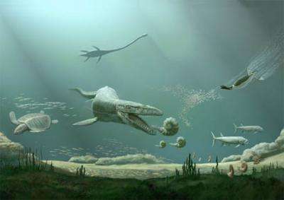 Rare 95 million-year-old flying reptile Aetodactylus halli is new genus, species of pterosaur