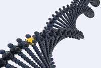 Rare variants in gene coding may up risk of autoimmune disorders