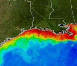 Reseachers predict larger-than-average Gulf 'dead zone'; impact of oil spill unclear