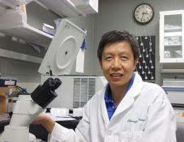 Researcher targets gene regulators on link between arsenic, cancer