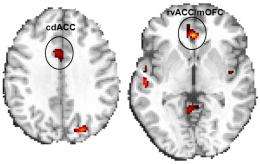 利他林改善可卡因滥用者的脑功能和任务表现