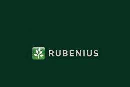 Rubenius plans to invest four billion dollars in a massive alternative energy storage site in northwest Mexico