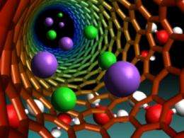 Scientists observe single ions moving through tiny carbon-nanotube channel