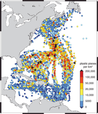 SEA researchers find widespread floating plastic debris in the western North Atlantic Ocean
