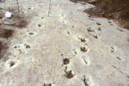 Secrets of dinosaur footprints revealed, thanks to Goldilocks