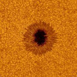 See amazing new sun images from NJIT's Big Bear Solar Observatory