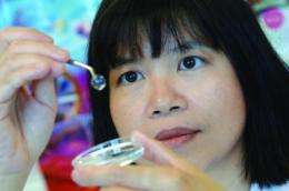 Seeing the world with new eyes: Biosynthetic corneas restore vision in humans