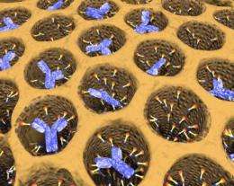 Silica cages help anti-cancer antibodies kill tumors in mice