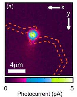 Single quantum dot nanowire photodetectors