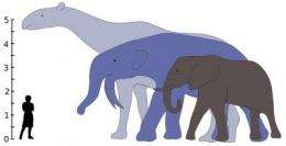 Size of mammals exploded after dinosaur extinction