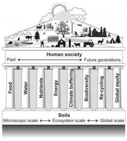Soil science: Healing our planet's ills from the ground up
