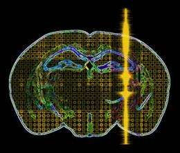 'Sound' science offers platform for brain treatment and manipulation