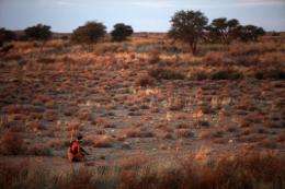 South Africa wants to build a 5,000 megawatt solar paek on the edge of the Kalahari desert