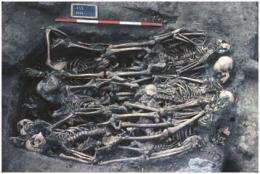 Spain's typhus epidemic revealed by 18th century skeletons