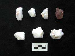 Stone tools found on southwestern Crete island