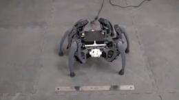 Student Builds Spider Robot From Spare Parts
