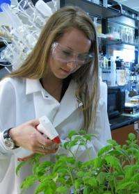 Student research team sequences genome of bacterium discovered in Virginia Tech garden