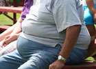 Studies provide new insights into the genetics of obesity and fat distribution