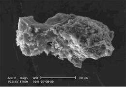 Study: Meteorites point to our solar system as source of organic materials